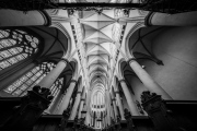 Altenberger Dom 12/2024