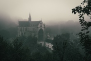 [Misty Morning]