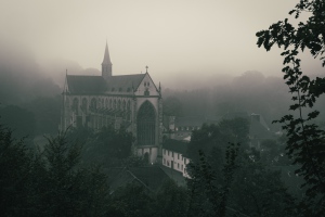[Misty Morning]
