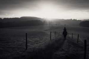 [Bergischer Morgen]