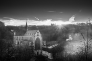 Altenberger Dom 12/2024