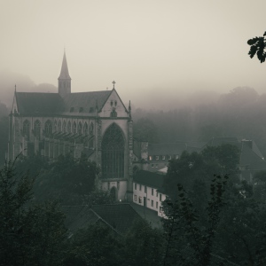 [Misty Morning]