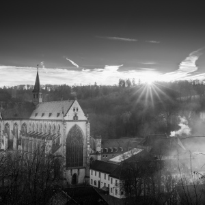 Altenberger Dom 12/2024