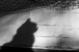 Schatten-Kater