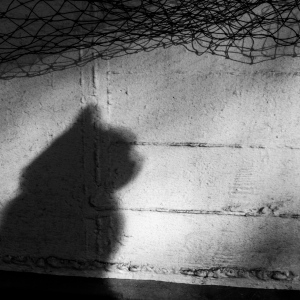 Schatten-Kater
