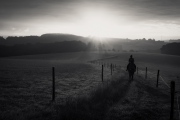 [Bergischer Morgen]