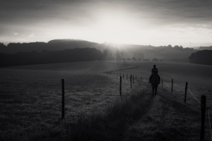 [Bergischer Morgen]