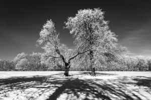 [ Winter as its best ]
