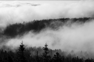 Über den Wolken #1