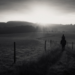 [Bergischer Morgen]