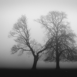 foggy day #2