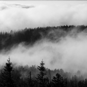 Über den Wolken #1