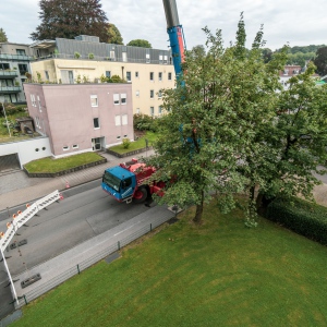 Aufgrund von Arbeiten an der Mobilfunkanlage auf dem Dach des Gebäudes Gartenstraße 6 kam es am Dienstag, 3. September zu einer Vollsperrung der Gartenstraße.