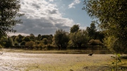 260823_DSCF6044