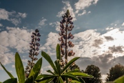 260823_DSCF6100