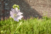 260823_DSCF6114