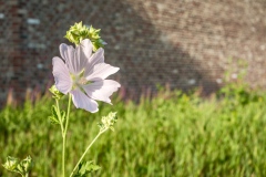 260823_DSCF6114