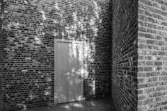 260823_DSCF6116