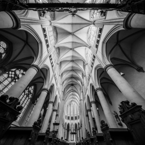 Altenberger Dom 12/2024