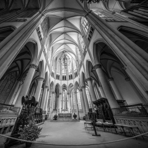 Altenberger Dom 12/2024