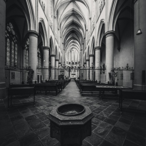 Altenberger Dom 12/2024
