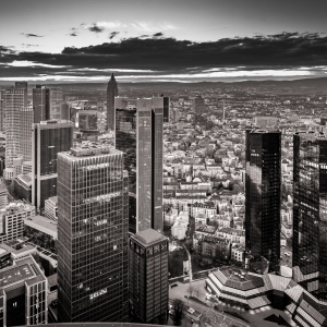 [ Skyline ]