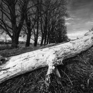 [ Düsseldorf / Urdenbacher Kämpe 02/2025 ]