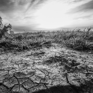 [ Düsseldorf / Urdenbacher Kämpe 02/2025 ]