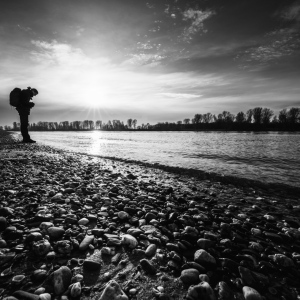 [ Düsseldorf / Urdenbacher Kämpe 02/2025 ]